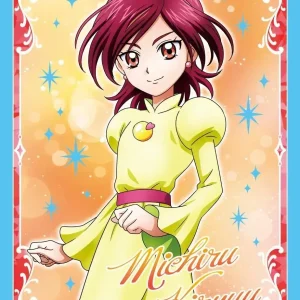 Ensky PreCure Character Sleeve Splash Star Mutu Set, 65 Pieces