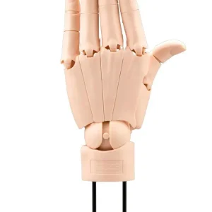 Kotobukiya Artist Support Hand Model 1/1 Life-Size L Pale Orange