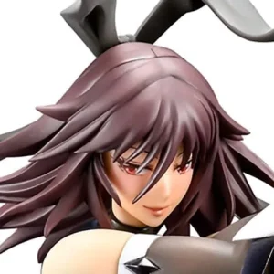 Mouse Unit Taimanin RPG Mizuki Shiranui Figure 1/6 Scale Collectible