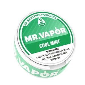 Mr. Vapor Nicotine Pouches - Cool Mint