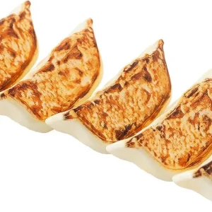 Studiosyuto Gyoza Plastic Model Kit Realistic DIY Craft Pack